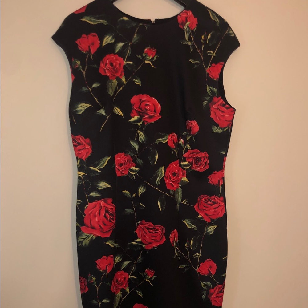 Rose print sheath dress